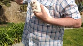 Easter Sunday Puppy at the Beach