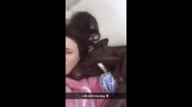 Life with my dog
