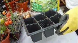 CÓMO HACER UN SEMILLERO (MUY FÁCIL)
