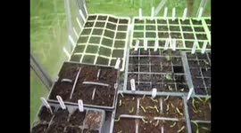 PREPARACIÓN DEL TERRENO DE SIEMBRA(CONSEJOS)