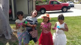 Gender Reveal Gone Wrong