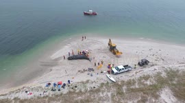 Drone footage shows beached Right Whale calf on New England coast