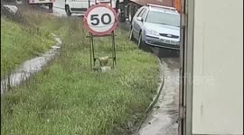 Impatient UK driver does U-turn and drives wrong way along verge to skip queue