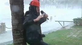 广东湛江  记者绑树上报道台风“海鸥”
