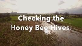 Beekeeper Saves Bee Hives from Flooding River Trent
