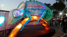 Carnival Chameleon