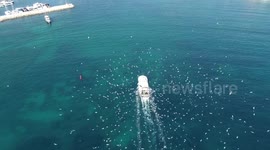 Fishing vessel enters the port