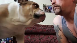 When people and their pets start to look and act alike...