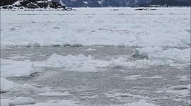 Blue Sea Ice off the coast of Newfoundland | April 4, 2018