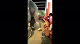 Terrifying moment temple elephant kicks woman devotee