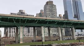 Canadian geese nesting on the upper West side of Manhattan Island!
