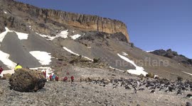 Tourists near Adélie Penguin rookery, Brown Bluff, Antarctic Peninsula