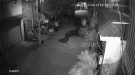 Two robbers steal the dog at night