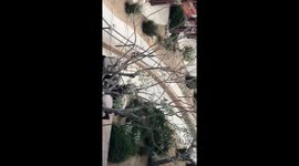 Cops can’t handle one man.