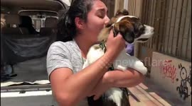 Woman is reunited with dog that was missing for 20 days