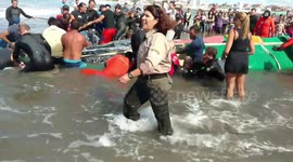 Ballena varada en punta mogotes Mar del Plata 8 de Abril 2018 NRO 3
