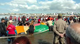 Stranded humpback whale dies on Argentine beach despite rescue efforts