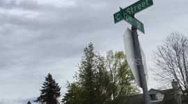 I was bit by their dog. Meet the owners; Springfield, Oregon