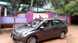 exploring the alien spaceship in their area