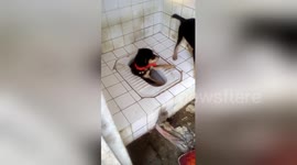 Whimpering puppy pulled out of toilet in Vietnam