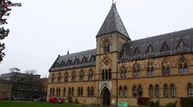 Row erupts over plans to replace wooden display units at historic Grade I listed museum