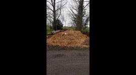 Doggy Crack