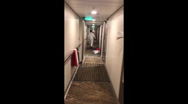 Gastro on ovation of the seas