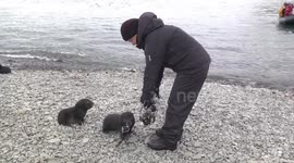 These cute baby fur seals really want to take a selfie