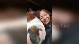 Woman gets the cutest of selfies with her horse