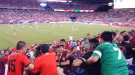 Mexico vs Portugal 2014 Friendly fight in stands