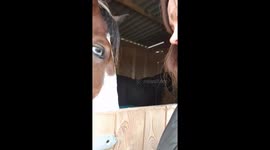 Cute cuddle with Teddy