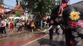 Elephants spray tourists with water to start Thai New Year