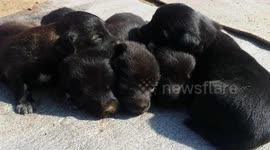 New born