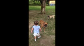 Baby hugs a dog