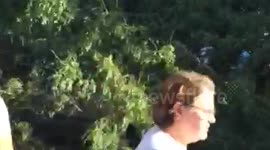TREE CRUSHES CAR IN LONDON