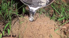 Anthill Art Cast #061 - Aluminum Fire Ant Colony Casting