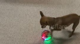 Radar Chasing Mechanical Ball