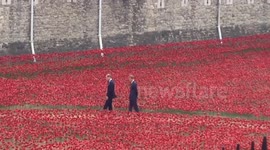 Prince William, Prince Harry, Princess Kate at Tower of London 05.08.2014