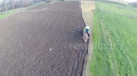 Seagulls find an easy meal behind tractor ploughing a field