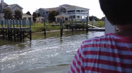 Boat Tour Stops to Save a Gull Wrapped in Fishing Line