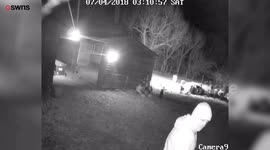 Family devastated after pet lamb Flop stolen by masked thieves