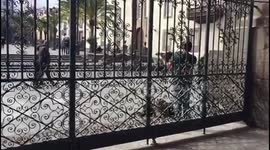 Spanish Violin player in Las Palmas