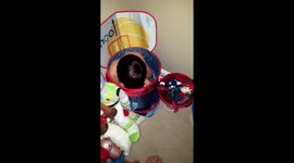 Funny things kids say