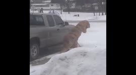 Prehistoric Help in North Dakota