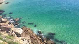 Great white shark chasing seals off Robberg, Plettenberg Bay, South Africa