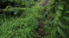 Inside The Abandoned Ghost Palace Bali
