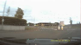 A deer miss!