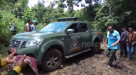 Sumatran tiger evacuation pending by the government