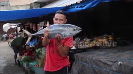 Man holds giant fish in Kupang market, West Timor, Indonesia