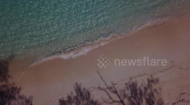 The bluest water and whitest sand I've ever seen! This is Jaco Island, a remote, and deserted tropical island off the coast of East Timor. There is clear blue water and pure white sand. It's a tropical paradise!